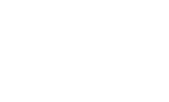 Republic Development logo